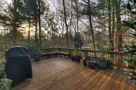 171 Mohawk Trail Ellijay GA 30540