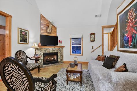 171 Mohawk Trail Ellijay GA 30540