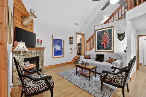 171 Mohawk Trail Ellijay GA 30540
