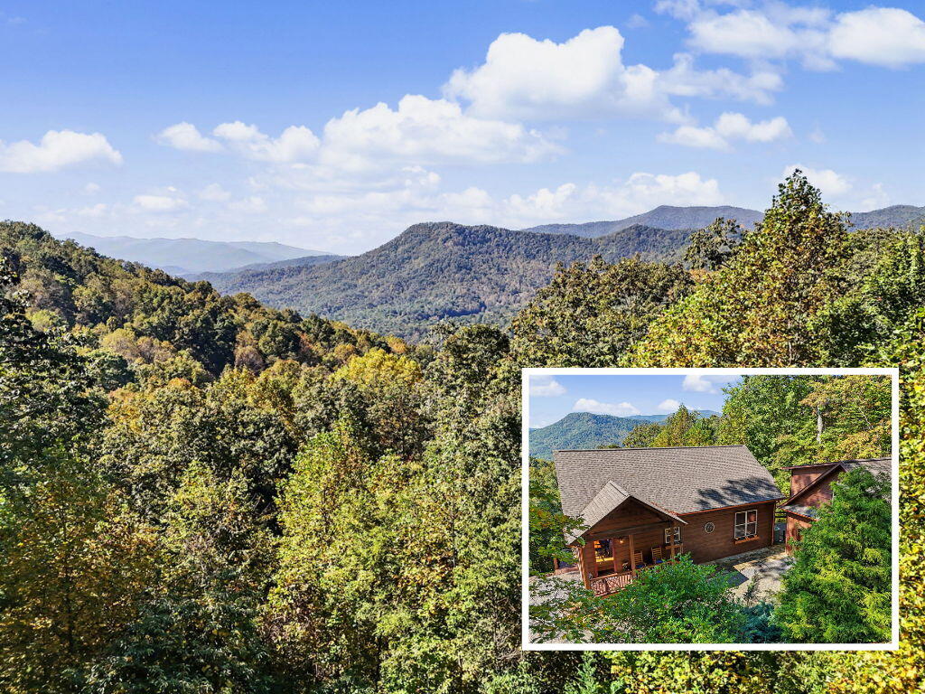 7031 Black Bear Trail Hiawassee GA 30546
