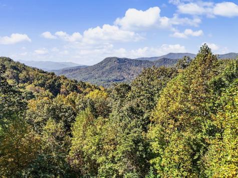 7031 Black Bear Trail Hiawassee GA 30546