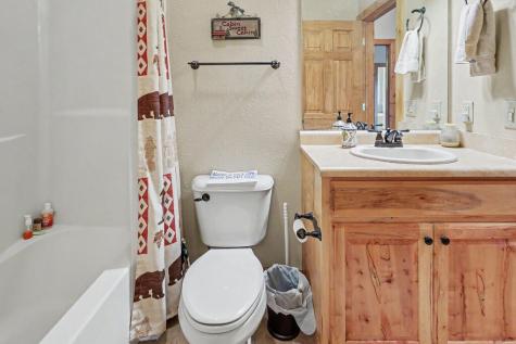 7031 Black Bear Trail Hiawassee GA 30546