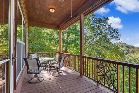 7031 Black Bear Trail Hiawassee GA 30546