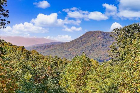 7031 Black Bear Trail Hiawassee GA 30546