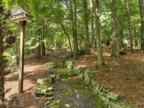 46 Mountain Springs Circle Ellijay GA 30536