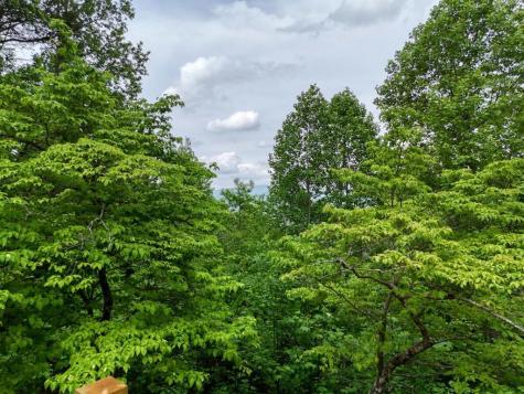 1710 Summit Trail Hiawassee GA 30546