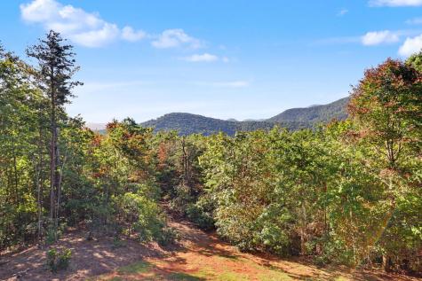 237 Flat Rock Ridge Road Blairsville GA 30512