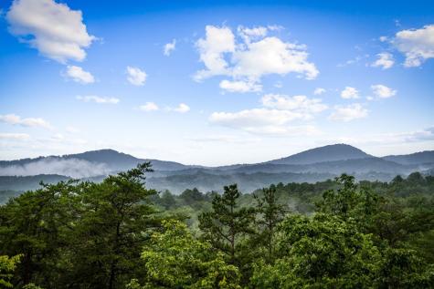 351 Black Dog Trail Morganton GA 30560