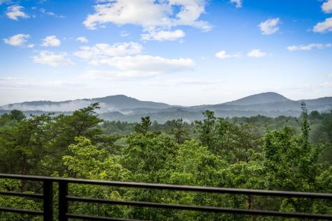 351 Black Dog Trail Morganton GA 30560