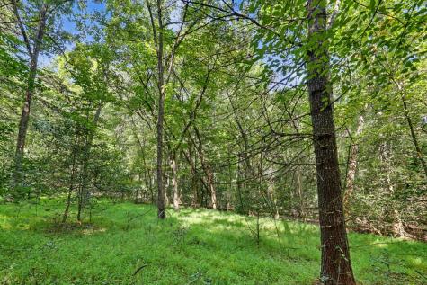 2824 Pat Colwell Road Blairsville GA 30512