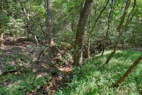2824 Pat Colwell Road Blairsville GA 30512