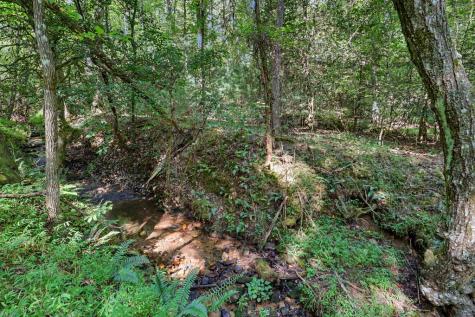 2824 Pat Colwell Road Blairsville GA 30512