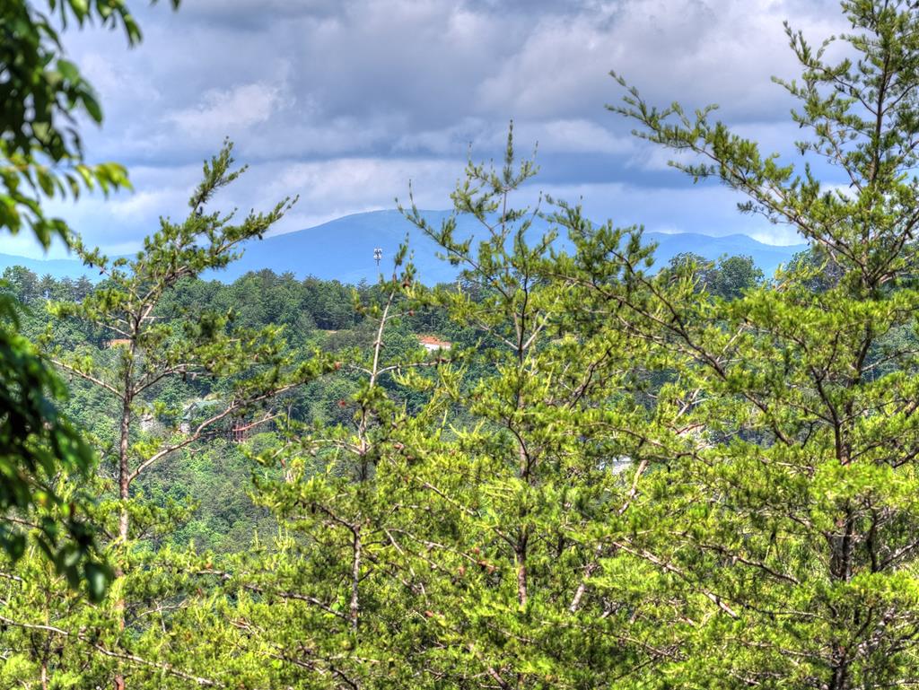 309 Katydid Road Morganton GA 30560