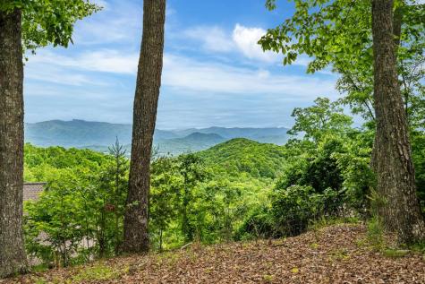 219 Lakeview Drive Hayesville NC 28904