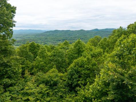 219 Lakeview Drive Hayesville NC 28904