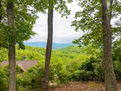 219 Lakeview Drive Hayesville NC 28904