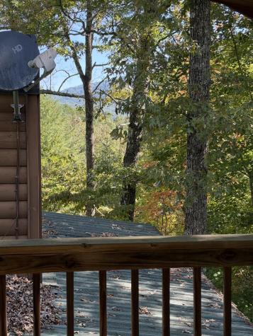 240 Oakwood Trail Mineral Bluff GA 30559