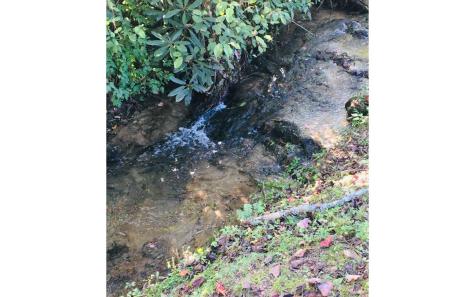 70 Boones Farm Road Murphy NC 28906
