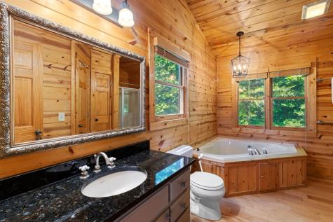 161 Huntington Way Blue Ridge GA 30513