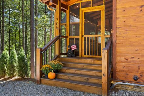 705 George Curtis Road Blue Ridge GA 30513