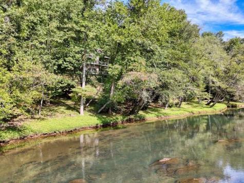 296 Caddis Trail Hayesville NC 28904