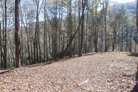 296 Caddis Trail Hayesville NC 28904