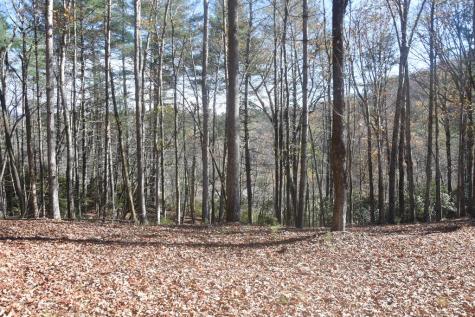 296 Caddis Trail Hayesville NC 28904