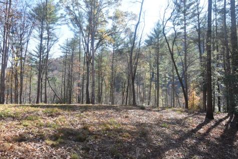 296 Caddis Trail Hayesville NC 28904
