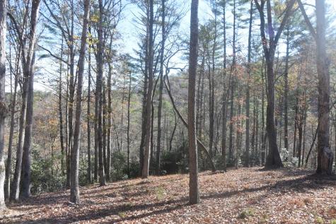 296 Caddis Trail Hayesville NC 28904