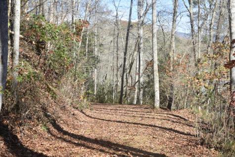 296 Caddis Trail Hayesville NC 28904