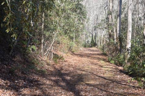 296 Caddis Trail Hayesville NC 28904