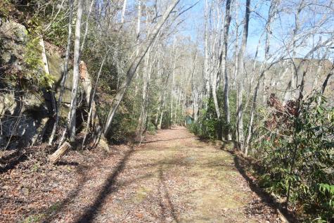 296 Caddis Trail Hayesville NC 28904