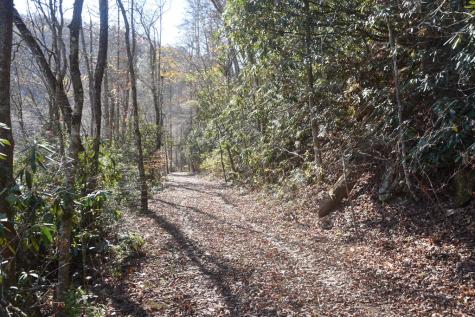 296 Caddis Trail Hayesville NC 28904