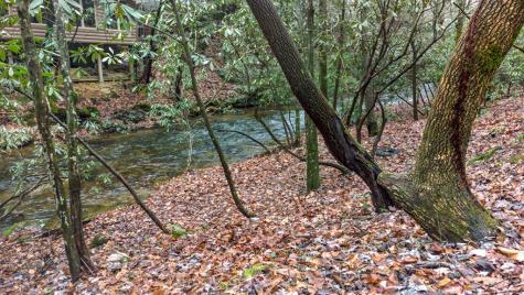 187 Cashes Valley Lane Cherry Log GA 30522