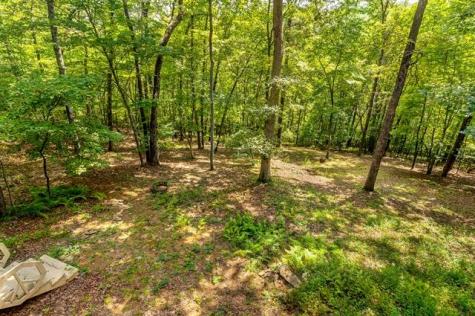 717 Evergreen Lane Mineral Bluff GA 30559