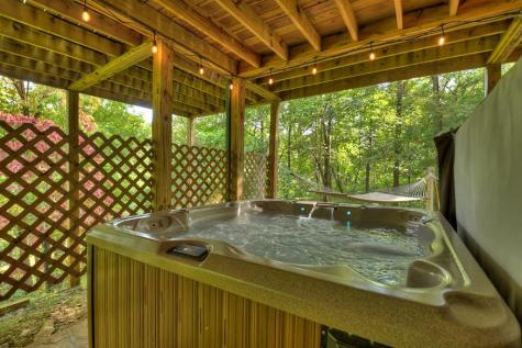 210 Indian Lake Road Mineral Bluff GA 30559