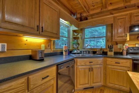 210 Indian Lake Road Mineral Bluff GA 30559