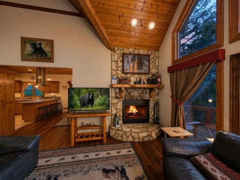 270 Black Bear Ridge Road Ellijay GA 30536
