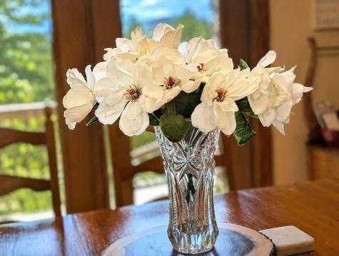 270 Black Bear Ridge Road Ellijay GA 30536