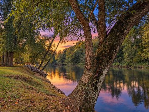 788 Fish Trap Trail Mineral Bluff GA 30559