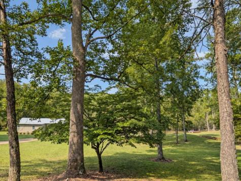 788 Fish Trap Trail Mineral Bluff GA 30559