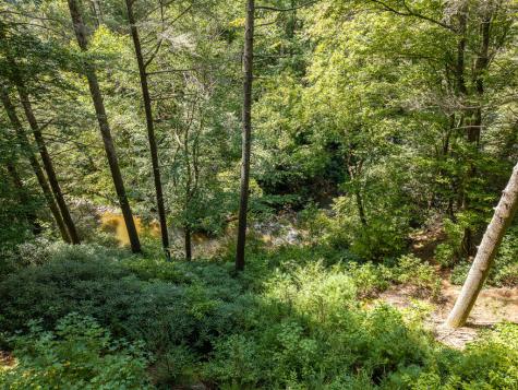 488 Whispering Pine Lane Cherry Log GA 30522