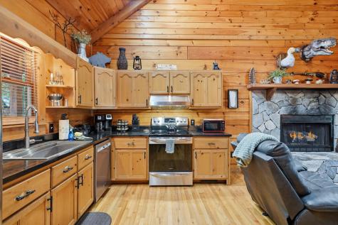 488 Whispering Pine Lane Cherry Log GA 30522