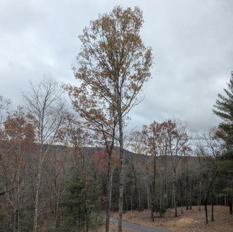 802 Mull Valley Road Morganton GA 30560