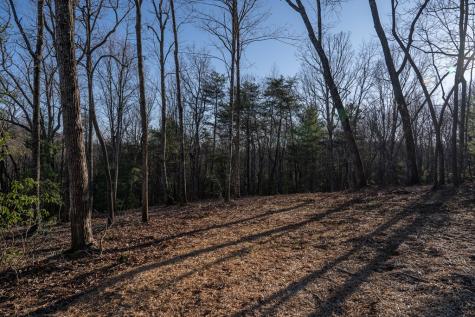 802 Mull Valley Road Morganton GA 30560