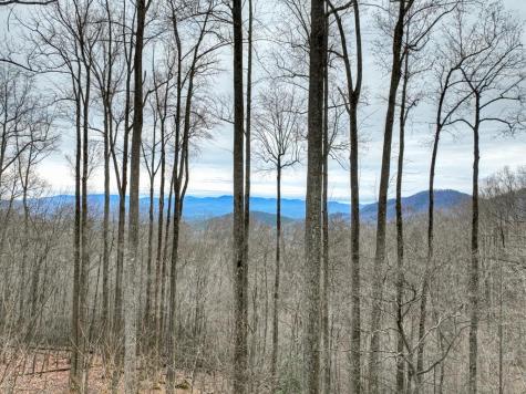 1189 Walnut Ridge Ellijay GA 30536