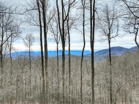 1189 Walnut Ridge Ellijay GA 30536