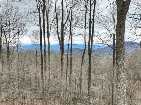1189 Walnut Ridge Ellijay GA 30536