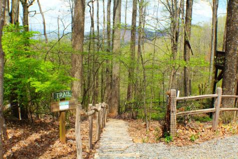 1189 Walnut Ridge Ellijay GA 30536