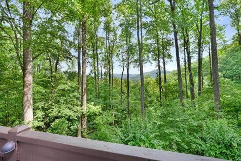 1189 Walnut Ridge Ellijay GA 30536